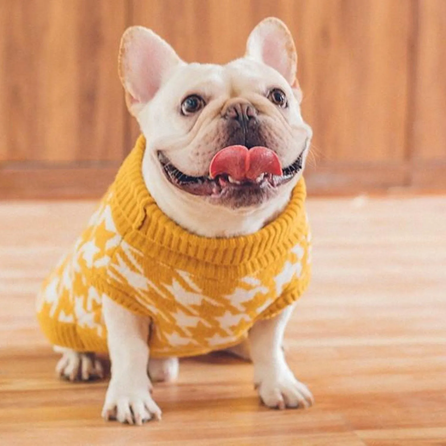 Premium Wool Sweater Dog Jumper