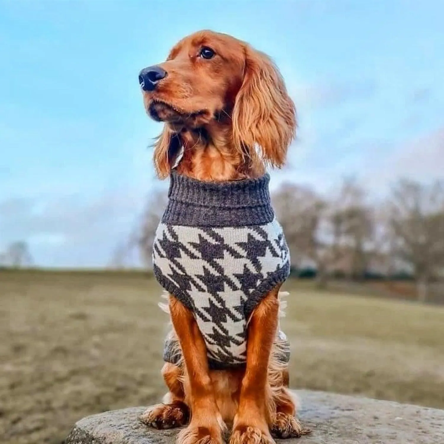 Premium Wool Sweater Dog Jumper